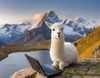 Mis primeros días como Autónomo. Explorando LLaMA 3, AutoGen Studio 2.0 y una Sorpresa 🎁